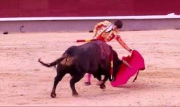 《斗牛》全集在线观看,热血沸腾的竞技传奇